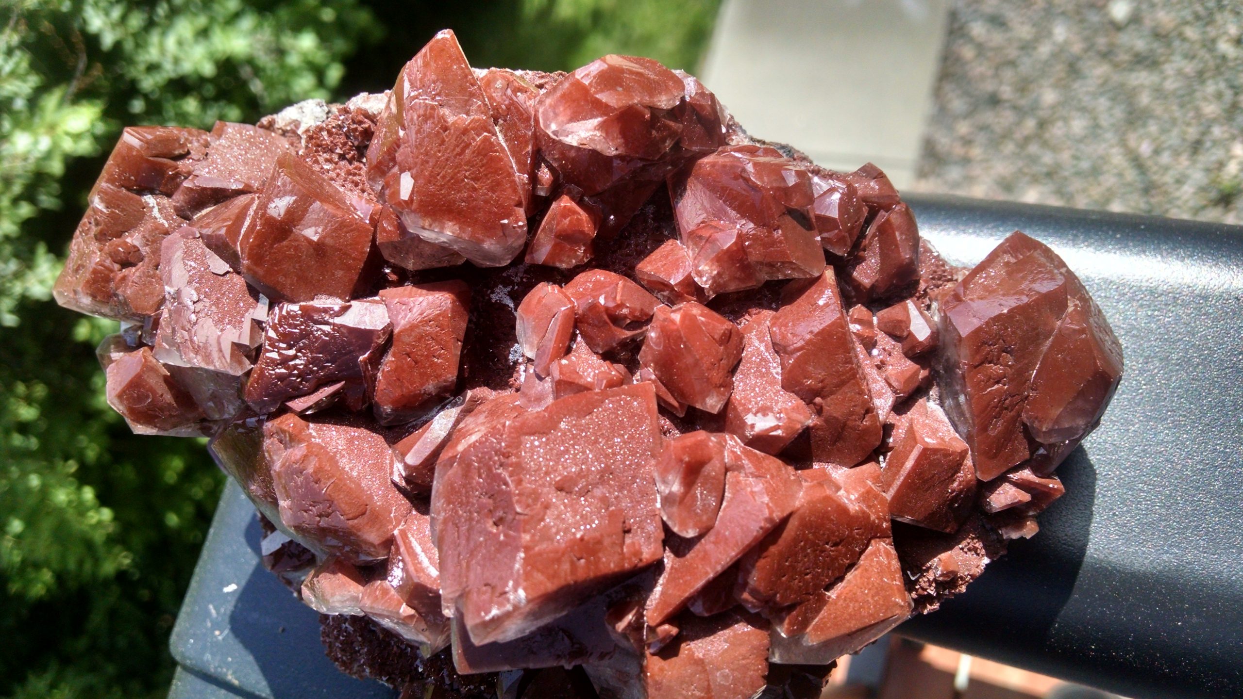 Red Cluster from Mexico; 6.1 inches - ROCKYGEMS.COM Marketplace